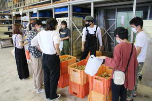 生産科学科 収穫祭2