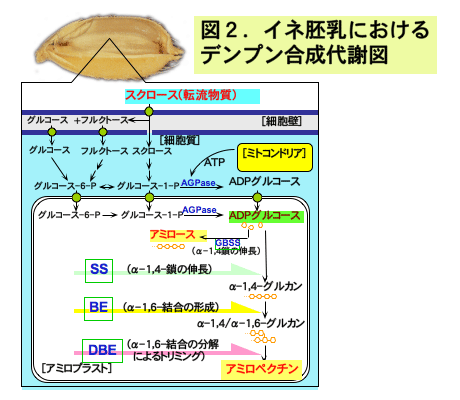 概要2