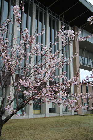 生産科学科 入学式1