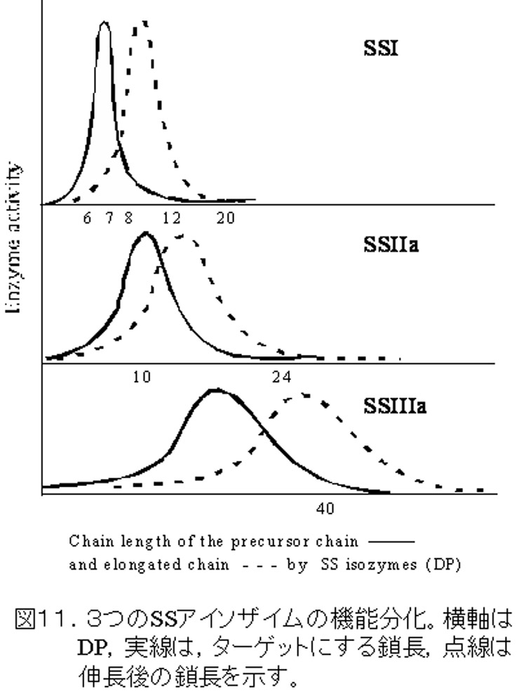 Fig11