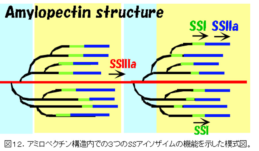 Fig12