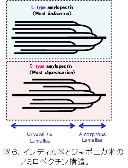 Fig6