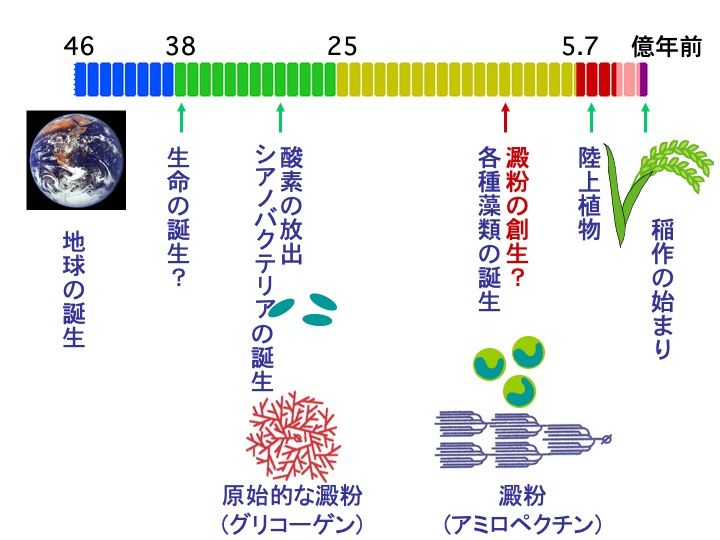 生命と貯蔵多糖の進化