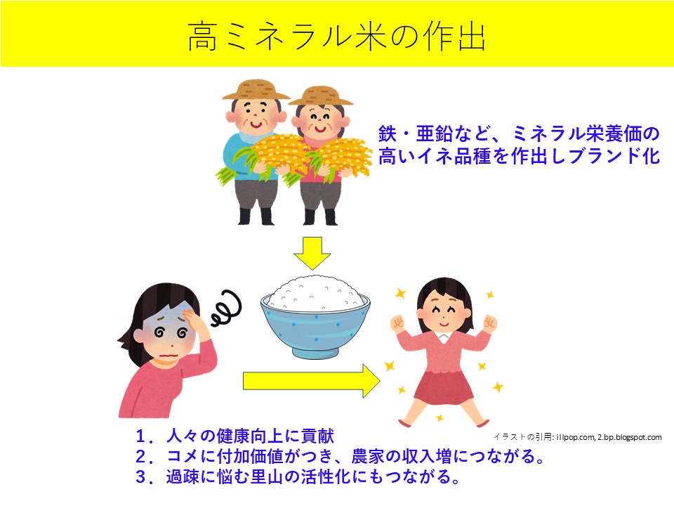 研究方針 植物栄養研究室 研究方針 植物栄養研究室
